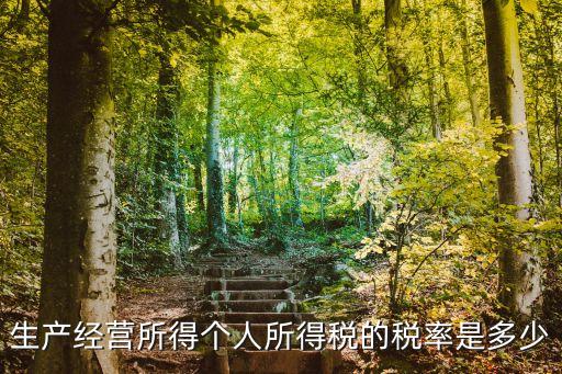 生產(chǎn)經(jīng)營所得個(gè)人所得稅的稅率是多少
