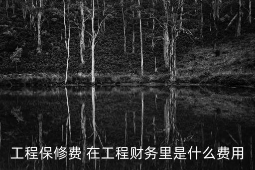 工程保修費 在工程財務(wù)里是什么費用