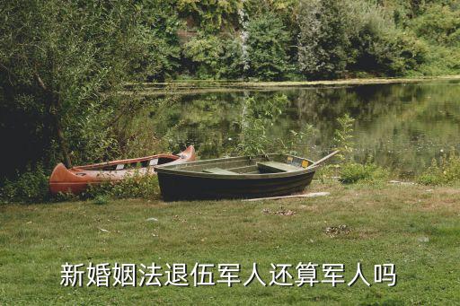 退伍也是兵，新婚姻法退伍軍人還算軍人嗎