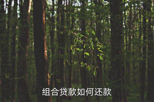 組合貸怎么還款，組合貸款如何還款