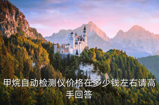 甲烷自動檢測儀價格在多少錢左右請高手回答