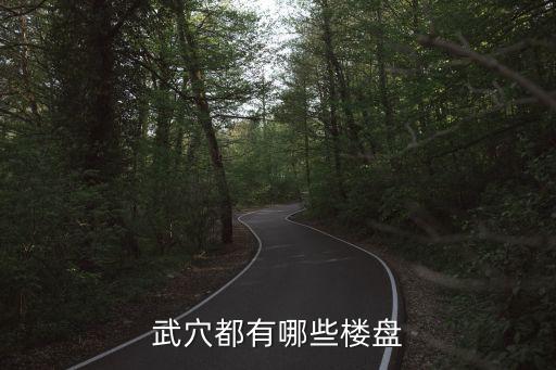 武穴都有哪些樓盤