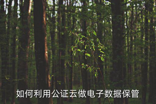 如何利用公證云做電子數(shù)據(jù)保管