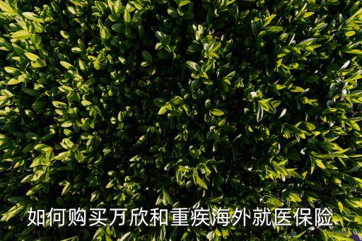 萬(wàn)欣和，中銀萬(wàn)欣和重疾海外就醫(yī)險(xiǎn)怎么買
