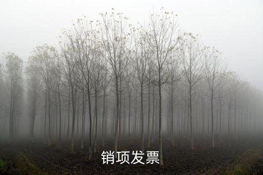 銷項(xiàng)發(fā)票
