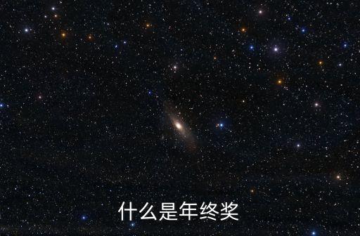 年終獎，什么是年終獎