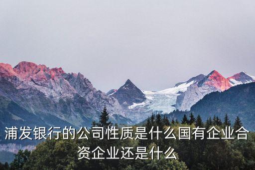 浦發(fā)銀行的公司性質(zhì)是什么國有企業(yè)合資企業(yè)還是什么