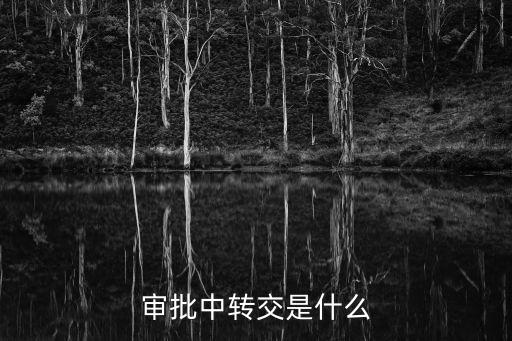 審批中轉(zhuǎn)交是什么
