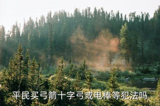 平民買弓箭十字弓或電棒等犯法嗎
