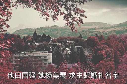 他田國強(qiáng) 她楊美琴 求主題婚禮名字