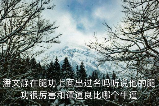 潘文靜，潘文靜這個(gè)名多少分