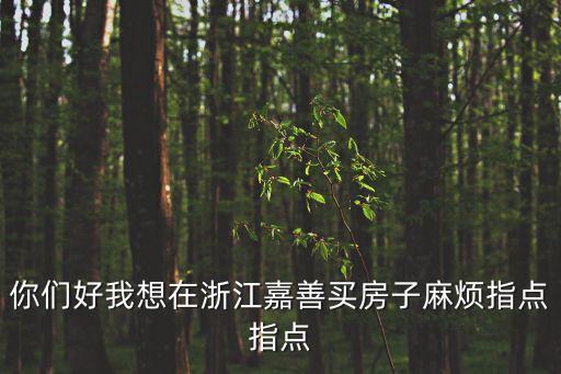 你們好我想在浙江嘉善買房子麻煩指點指點