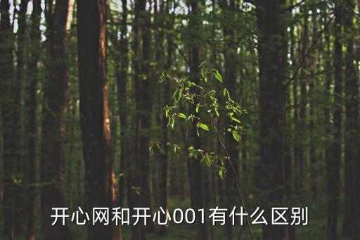 開心網(wǎng)和開心001有什么區(qū)別