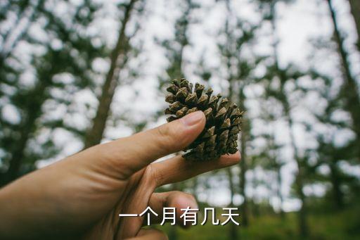 一個月有幾天