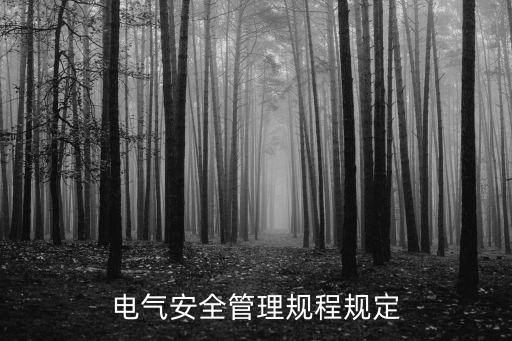 電氣安全管理規(guī)程，電氣安全工作制度主要包括
