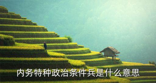 什么是條件兵，內(nèi)務(wù)特種政治條件兵是什么意思