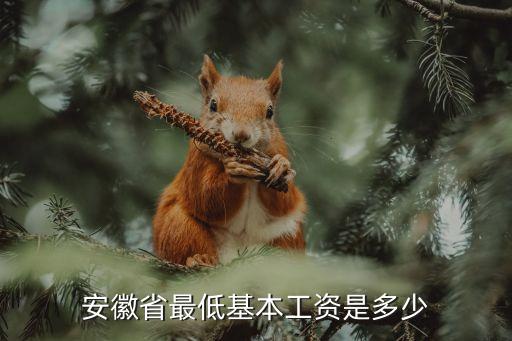 安徽省最低工資標(biāo)準(zhǔn)，合肥市最低基本工資是多少