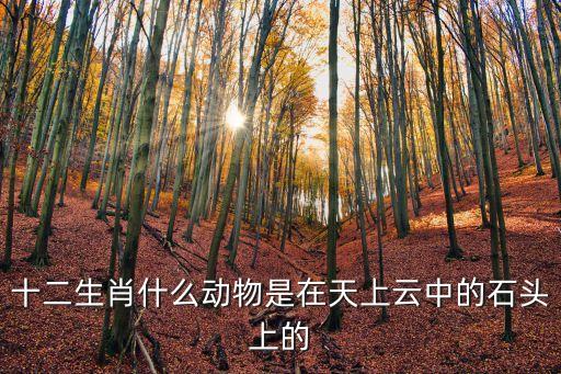 權(quán)利衛(wèi)士，猜一生肖清澈見(jiàn)底的河水河邊有只大野狗