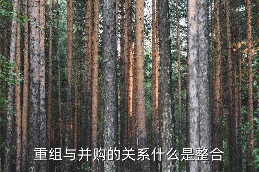 市場(chǎng)整合，如何整合市場(chǎng)