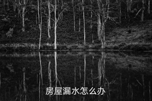 房屋滲水，房屋漏水怎么辦