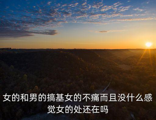 女的和男的搞基女的不痛而且沒(méi)什么感覺(jué)女的處還在嗎