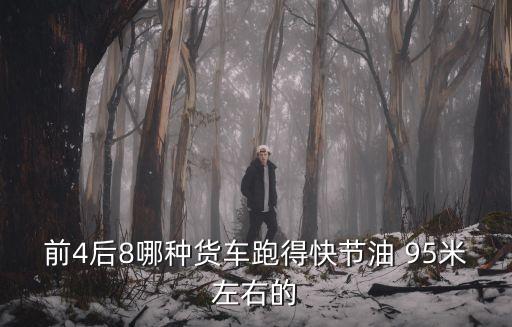 前4后8貨車，前4后8哪種貨車跑得快節(jié)油 95米左右的
