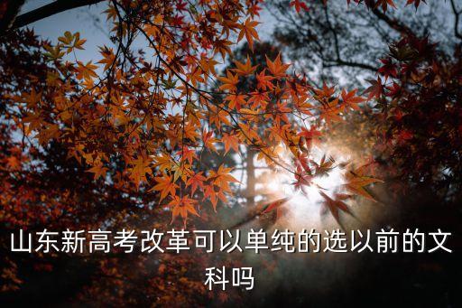 山東新高考改革可以單純的選以前的文科嗎
