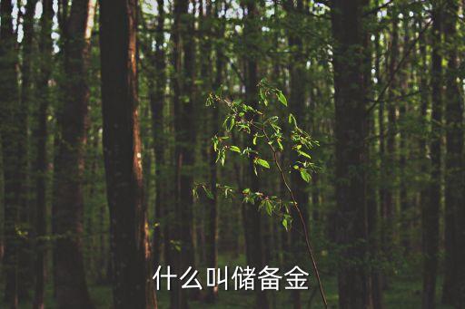 什么叫儲備金