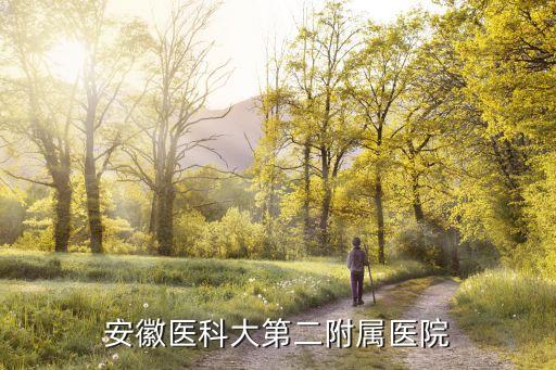 皖醫(yī)二附院，合肥 馬鞍山路與太湖路的交叉口的合家福 到安徽醫(yī)科大學第二附屬醫(yī)
