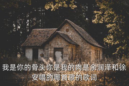 徐安，少年大欽差 徐安的身份