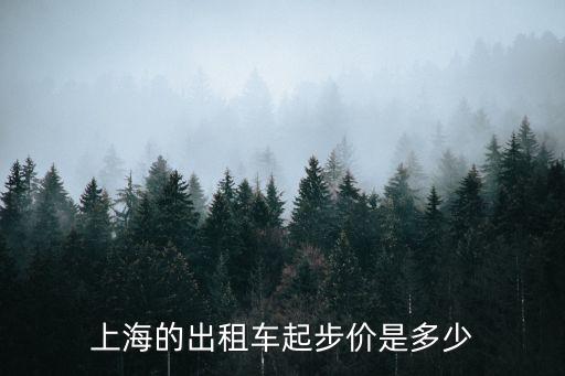 上海出租車(chē)起步費(fèi)，上海的出租車(chē)起步價(jià)是多少