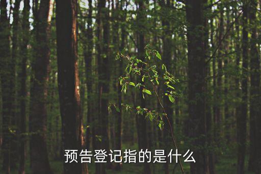 預(yù)告登記指的是什么