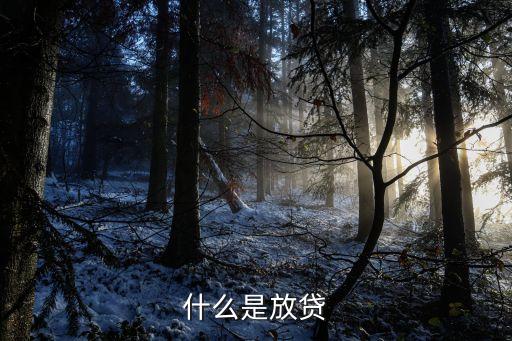 什么是放貸