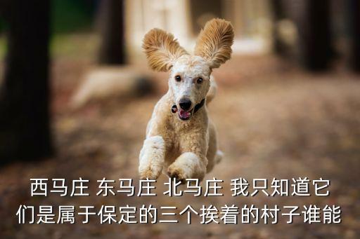 西馬莊 東馬莊 北馬莊 我只知道它們是屬于保定的三個挨著的村子誰能