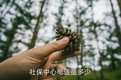 社保中心咨詢電話，社保中心電話是多少