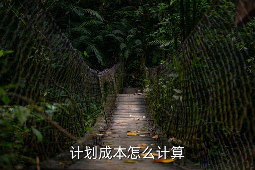 計劃成本怎么計算