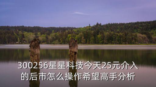 300256星星科技今天25元介入的后市怎么操作希望高手分析