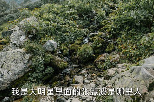 我是大明星里面的張志波是哪里人
