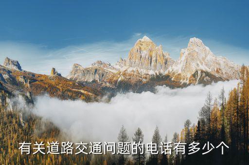 有關(guān)道路交通問題的電話有多少個