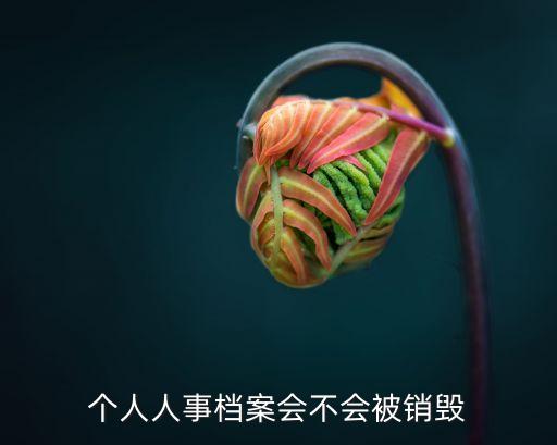 檔案銷毀，個人人事檔案會不會被銷毀