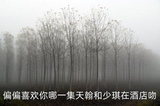 偏偏喜歡你哪一集天翰和少琪在酒店吻