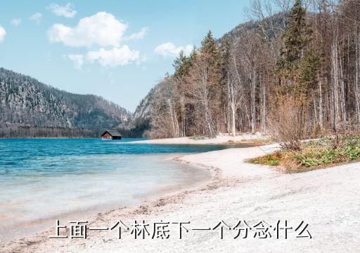 上面一個林底下一個分念什么