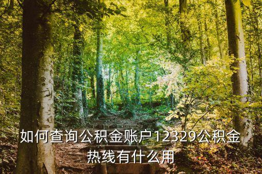 如何查詢公積金賬戶12329公積金熱線有什么用