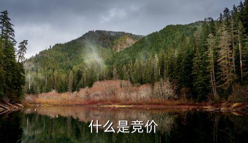 競價(jià)交易，競價(jià)是什么意思呢