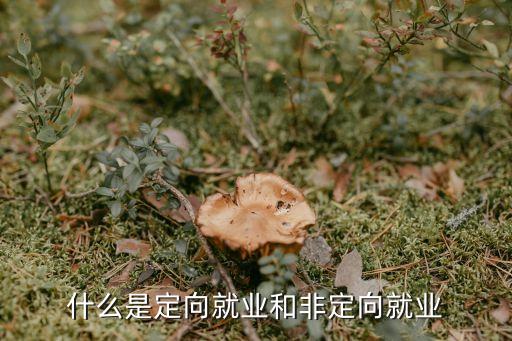 非定向就業(yè)，非定向就業(yè)是甚么意思