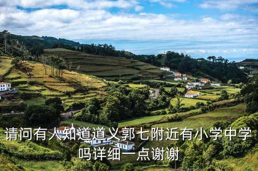 郭七，請問有人知道道義郭七附近有小學中學嗎詳細一點謝謝
