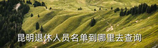 昆明社保查詢官網(wǎng)，請問昆明醫(yī)保卡在那里查詢