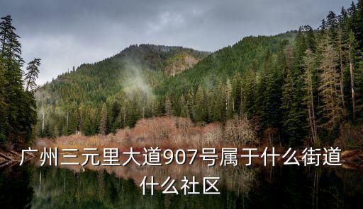 廣州三元里大道907號(hào)屬于什么街道什么社區(qū)