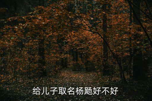 楊飏，給兒子取名楊飏好不好