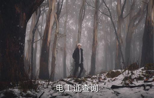 電工證查詢